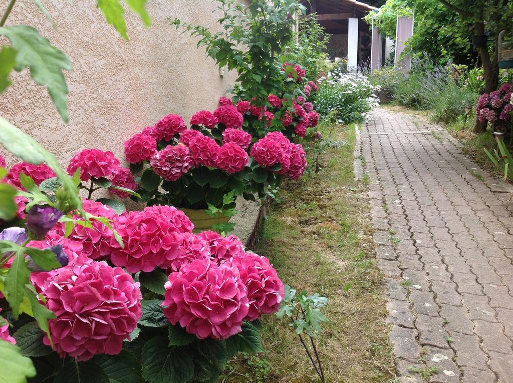 Bed & Breakfast Le Beausejour Carcassonne Luaran gambar